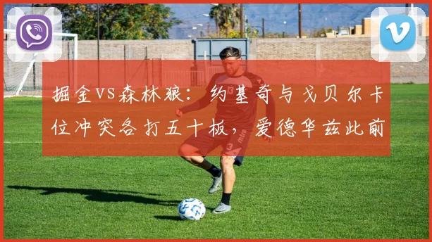 掘金vs森林狼：约基奇与戈贝尔卡位冲突各打五十板，爱德华兹此前推人仅给普通犯规